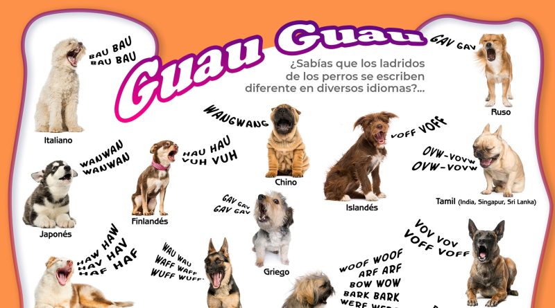 Los ladridos de los perros en diferentes idiomas