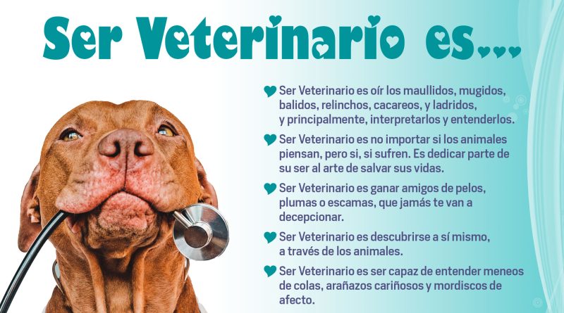 Ser Veterinario - Mascotas Today