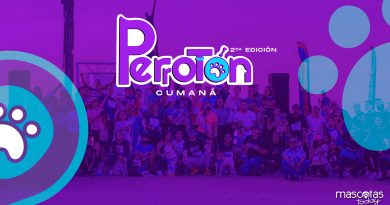 Perrotón Cumaná 2023 - Mascotas Today