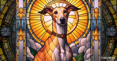 San Guinefort, el perro santo